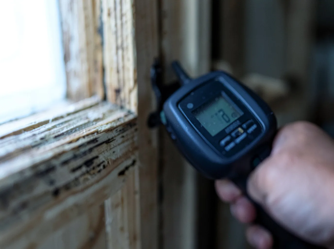 Moisture Inspection And Documentation in Bondurant, IA